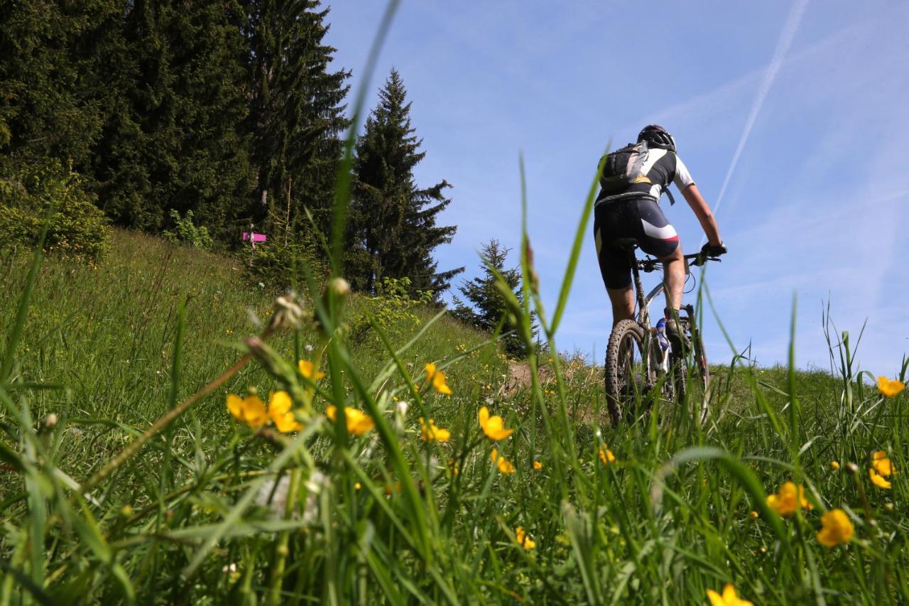 Les Cristaux Bed & Breakfast Saint-Gervais-les-Bains Luaran gambar
